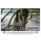 tv01pdn